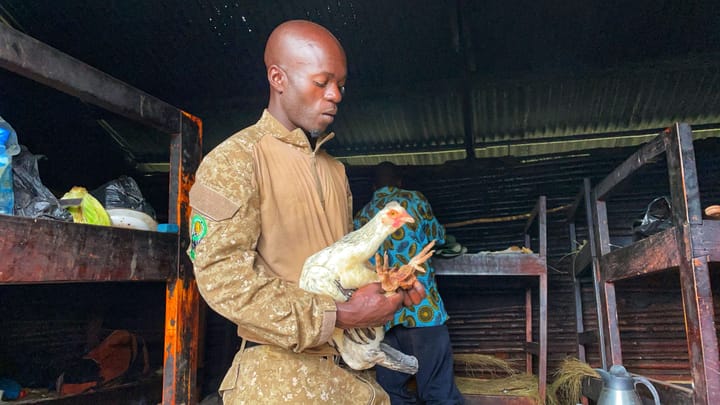 A man in uniform unties the feet of a white chicken underneath a metal shack.