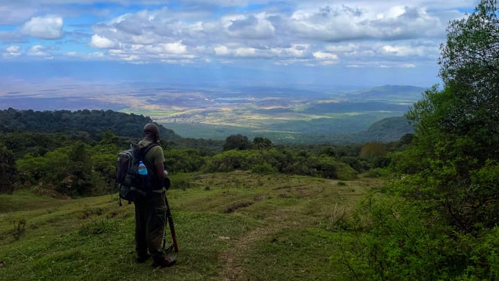A guide on a lush, green hill looks at a colorful landscape on a cloudy day. 